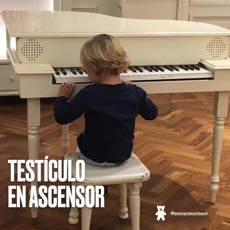 Esquema del testículo en ascensor: el músculo cremáster lo sube hacia la ingle y la bolsa escrotal queda vacía.
